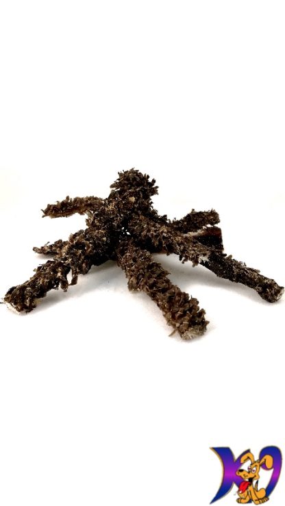biltong