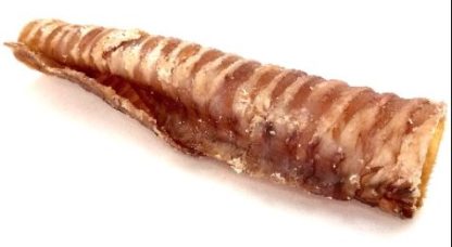 dry trachea